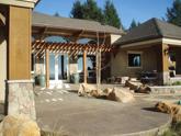 cocnrete patio stamp color